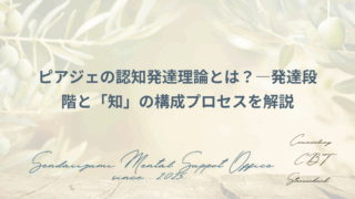 ピアジェの理論に関する解説のアイキャッチ画像