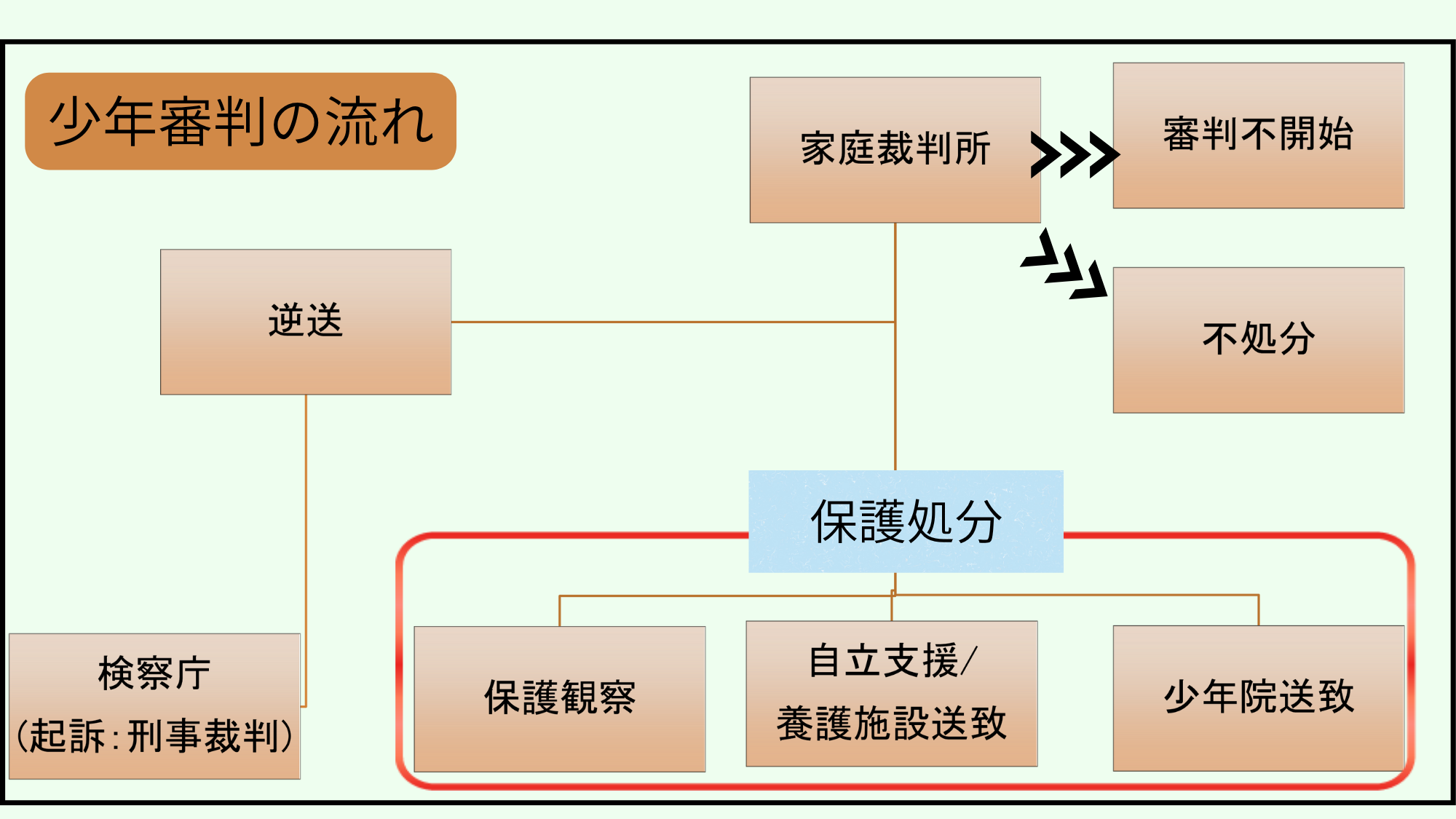 公認心理師/臨床心理士試験対策の少年審判の流れの画像
