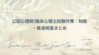 知能発達検査の解説ブログのアイキャッチ画像